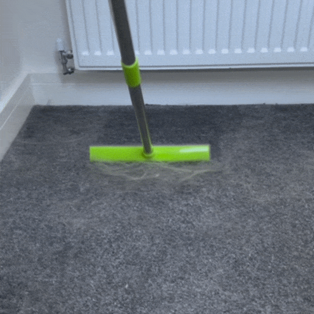 Balai pour poils en caoutchouc
