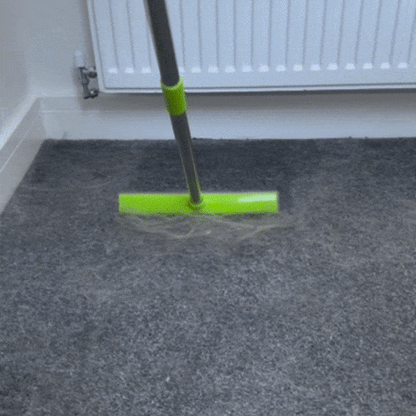 Balai pour poils en caoutchouc